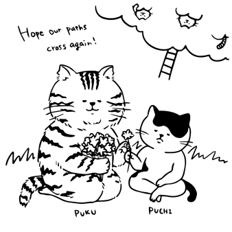 Hope Our Paths Cross Again