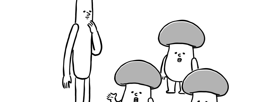 Magazine “pumpkin” February 2026 – Microaggression